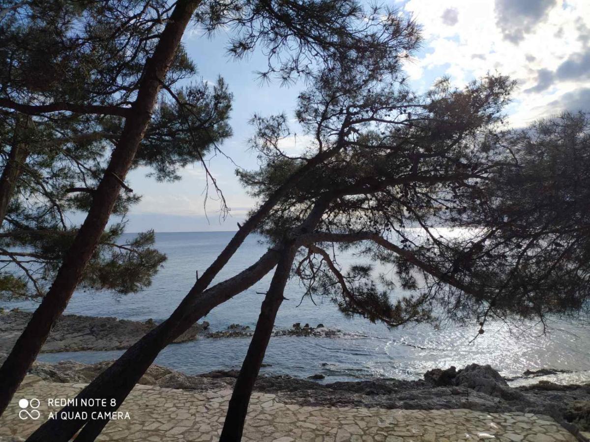 Apartments Marlen Mali Losinj Luaran gambar